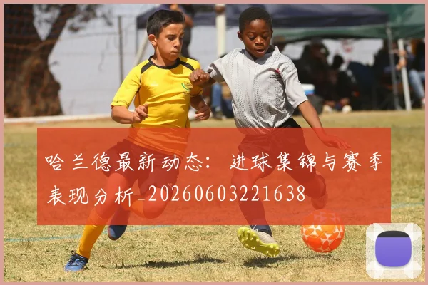 哈兰德最新动态:进球集锦与赛季表现分析_20260603221638