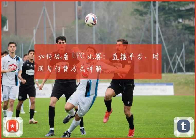 如何观看 UFC 比赛:直播平台、时间与付费方式详解