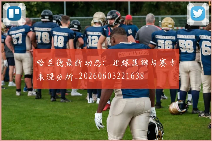 哈兰德最新动态:进球集锦与赛季表现分析_20260603221638
